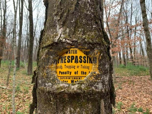 Trees That Secretly Collected Random Stuff (21 photos)