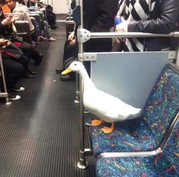 Welcome to the Weird Side of the Internet #207 (21 photos)