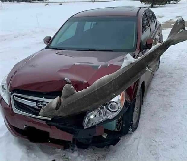 Welcome to the Weird Side of the Internet #207 (21 photos)