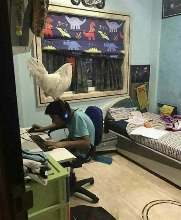 Welcome to the Weird Side of the Internet #207 (21 photos)