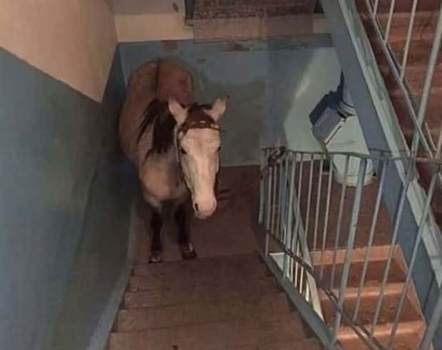 Welcome to the Weird Side of the Internet #207 (21 photos)