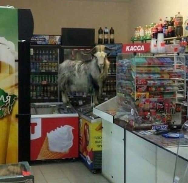 Welcome to the Weird Side of the Internet #207 (21 photos)