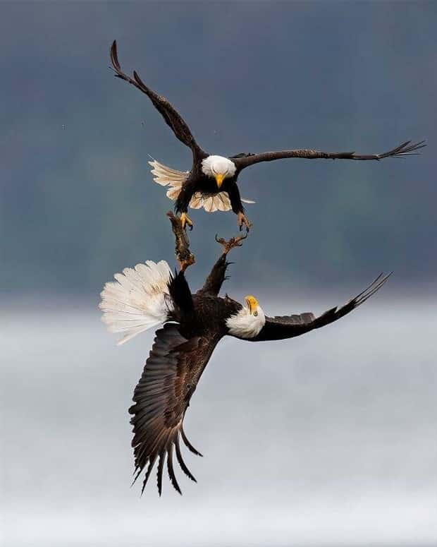 awesome images 15 Awesome Pictures You Shouldn’t Miss #213 (19 photos)