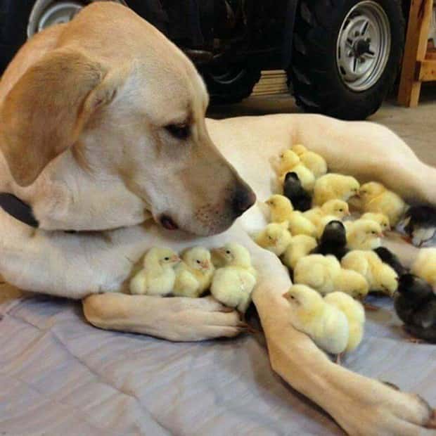 Awesome Pictures You Shouldn’t Miss #212 (22 photos)