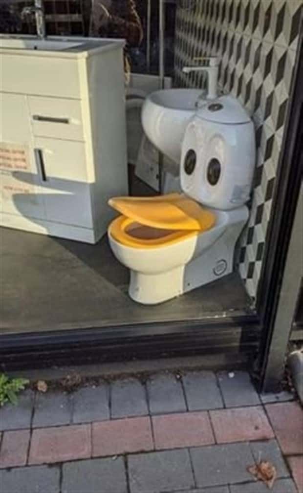 Terrible Toilets That Make Holding It Worth It (21 photos)