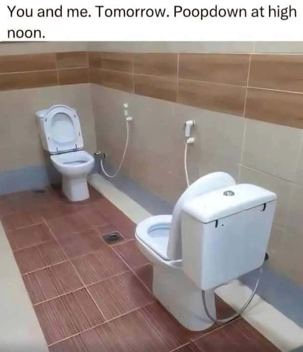 Terrible Toilets That Make Holding It Worth It (21 photos)