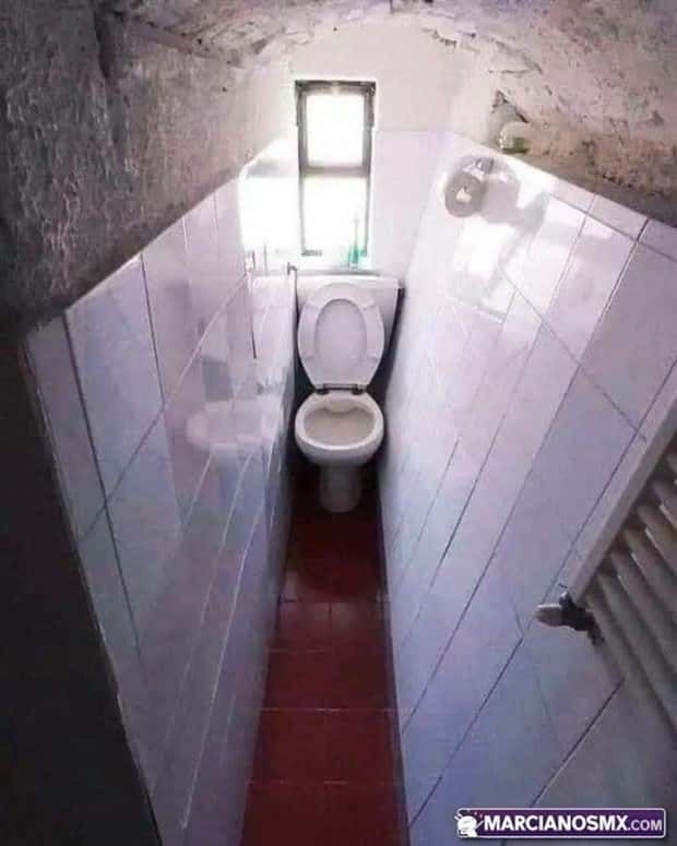 Terrible Toilets That Make Holding It Worth It (21 photos)