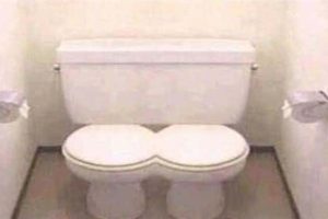 Terrible Toilets That Make Holding It Worth It (21 photos)