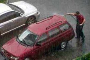 Common Sense Took the Day Off (21 photos)