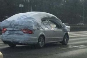 People Who Left Common Sense at Home (21 photos)