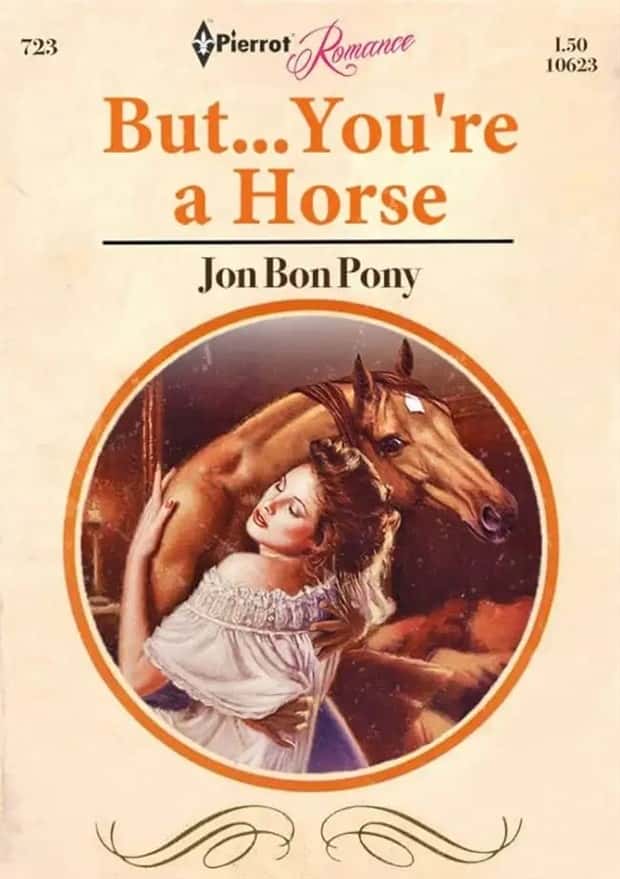 Judge These Hilariously Bad Book Covers (24 photos)