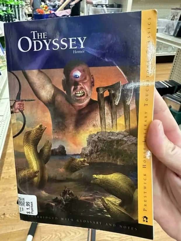 Judge These Hilariously Bad Book Covers (24 photos)