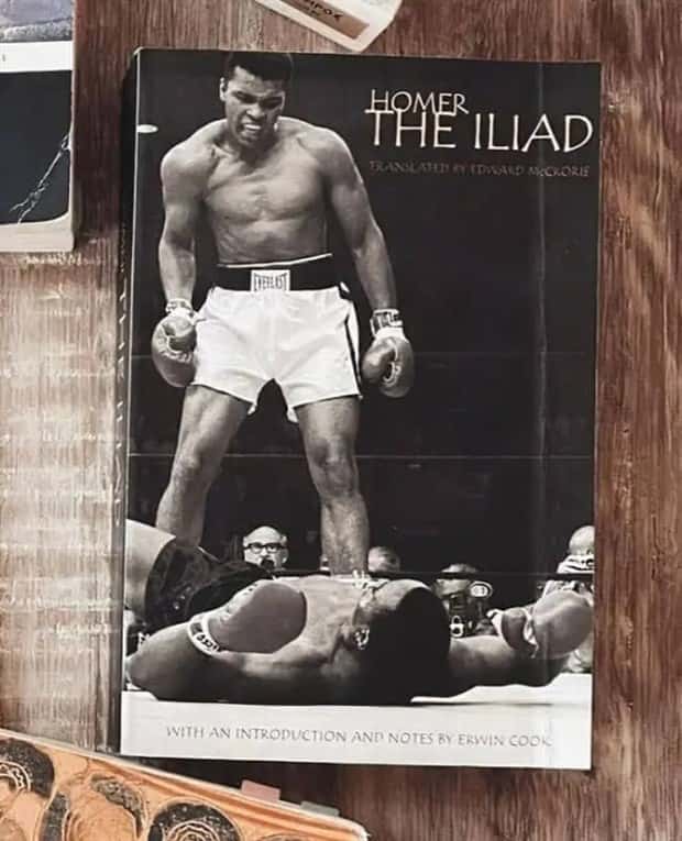 Judge These Hilariously Bad Book Covers (24 photos)