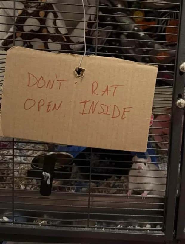 Wild Signs That Explained Absolutely Nothing (29 photos)