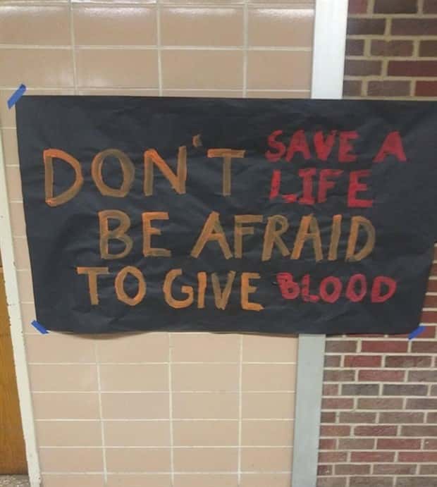 Wild Signs That Explained Absolutely Nothing (29 photos)