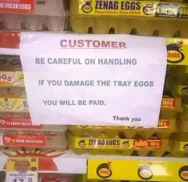 Wild Signs That Explained Absolutely Nothing (29 photos)