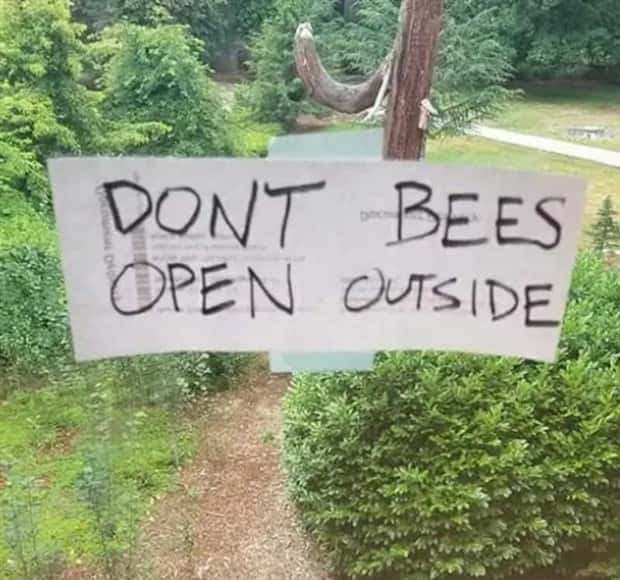 Wild Signs That Explained Absolutely Nothing (29 photos)