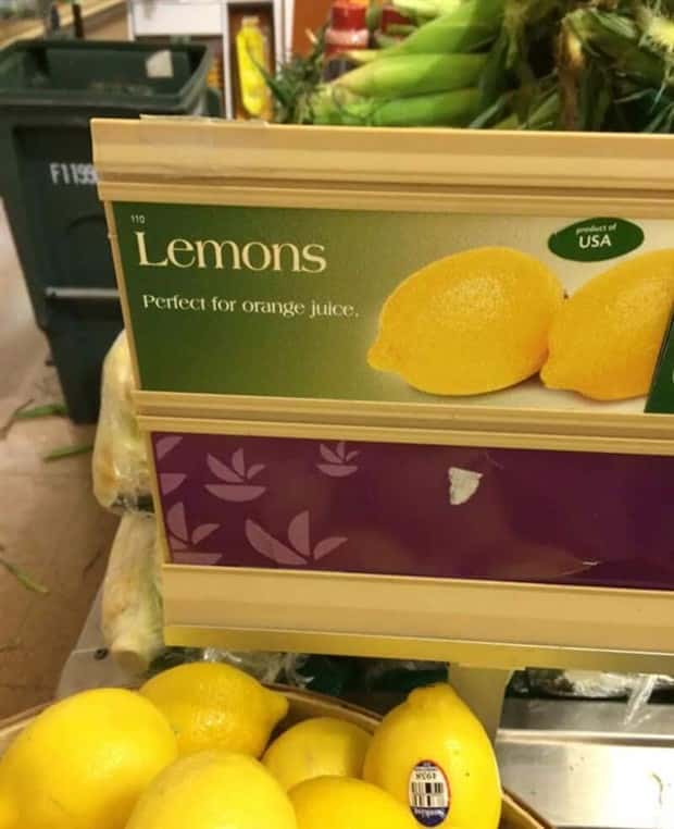 Random Designs that Suck Big Time #36 (20 photos)