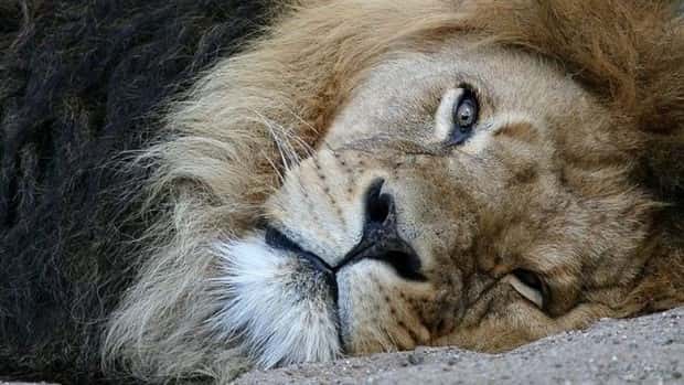 funny animals 13 2 Get Ready for Funny Animals #446 (19 photos)