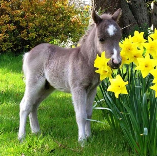 funny animals 6 2 Get Ready for Funny Animals #446 (19 photos)