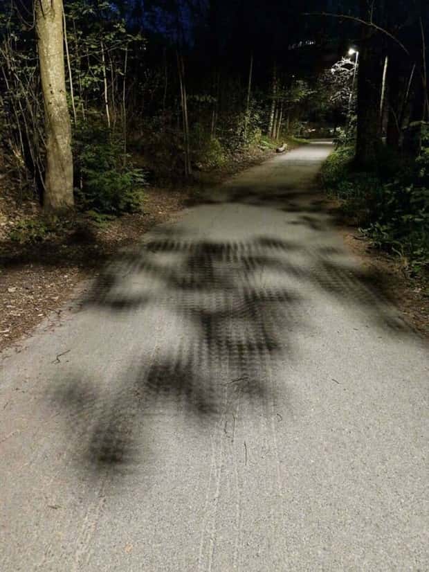 funny glitches in real life 11 People Spotted Glitches In Everyday Reality (34 photos)