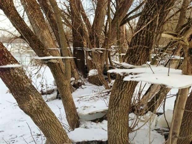 funny glitches in real life 13 People Spotted Glitches In Everyday Reality (34 photos)