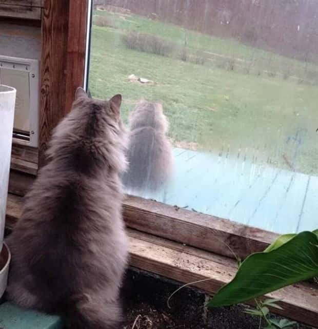 funny glitches in real life 17 People Spotted Glitches In Everyday Reality (34 photos)