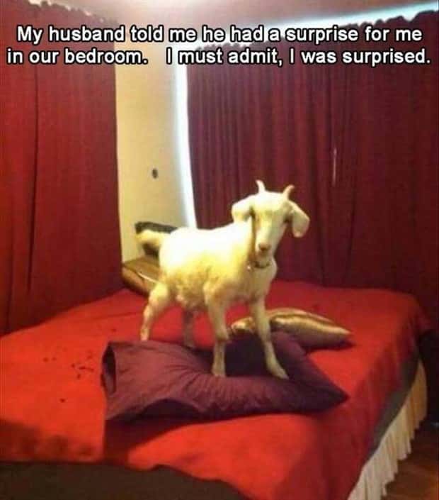 Funny Pics and Memes to Make You Laugh #218 (18 photos)