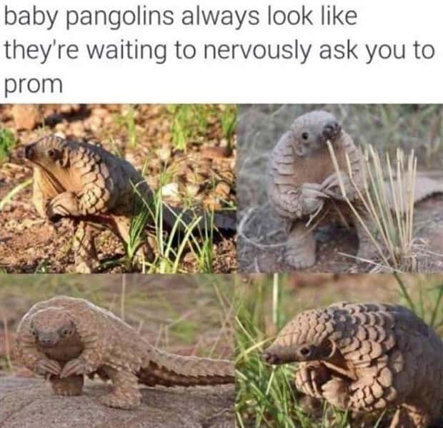 Funny Pics and Memes to Make You Laugh #216 (23 photos)
