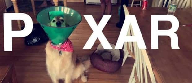Funny Pics and Memes to Make You Laugh #216 (23 photos)