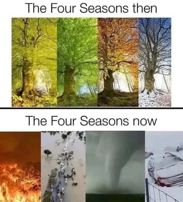Funny Pics and Memes to Make You Laugh #218 (18 photos)