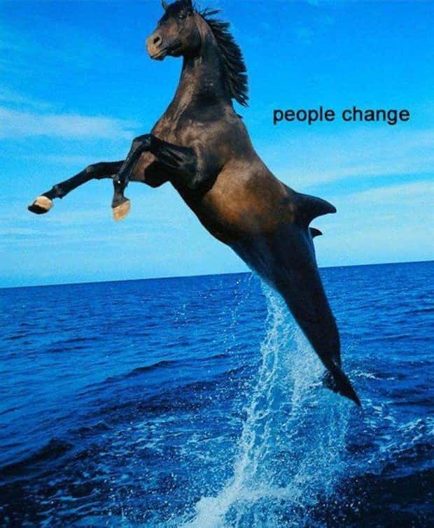 Funny Pics and Memes to Make You Laugh #218 (18 photos)