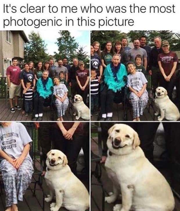 Funny Pics and Memes to Make You Laugh #216 (23 photos)