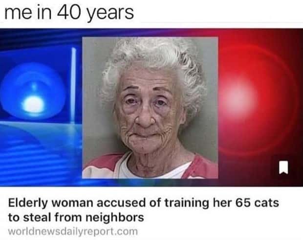 funny memes and pics 12 Funny Pics and Memes to Make You Laugh #217 (19 photos)