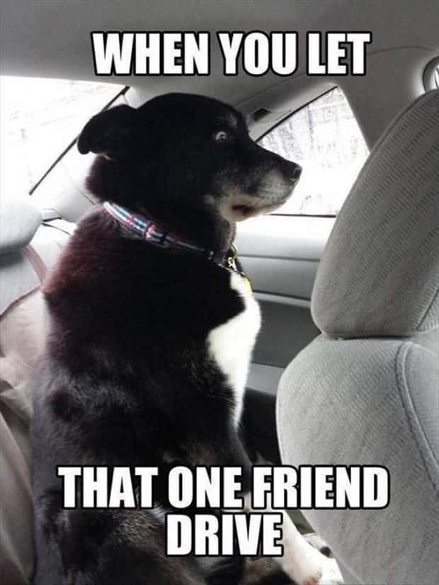 funny memes and pics 6 Funny Pics and Memes to Make You Laugh #217 (19 photos)
