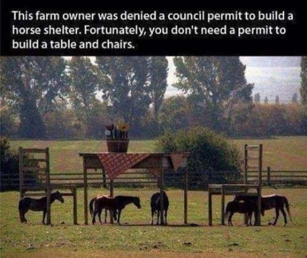 Rules Are Only Optional For Them (20 photos)