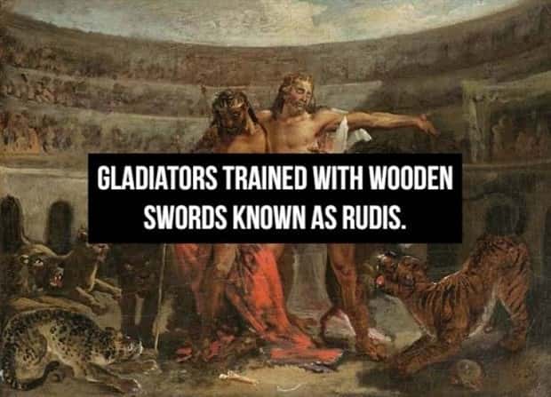 Cool Roman Gladiator Facts Worth Knowing (18 photos)
