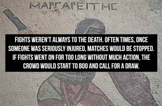Cool Roman Gladiator Facts Worth Knowing (18 photos)