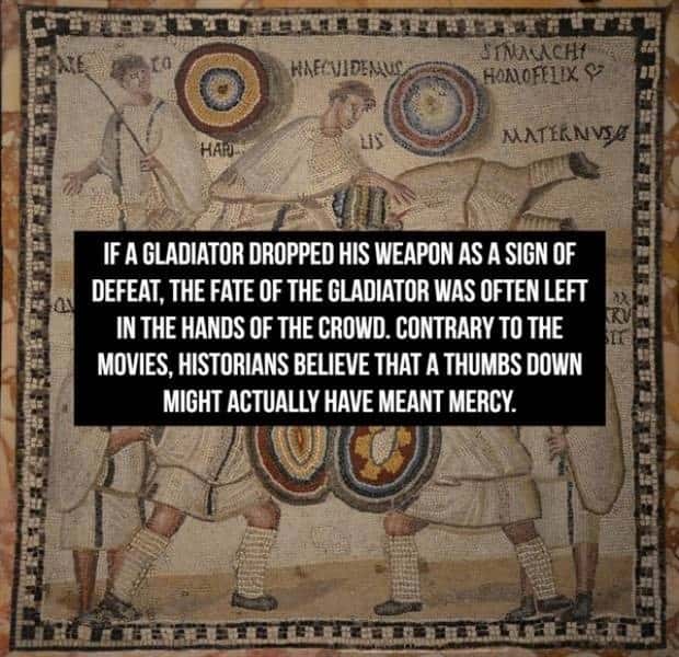 Cool Roman Gladiator Facts Worth Knowing (18 photos)