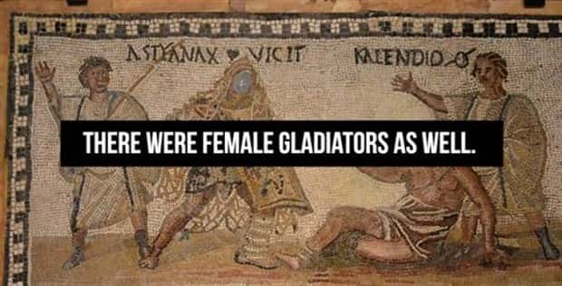 Cool Roman Gladiator Facts Worth Knowing (18 photos)