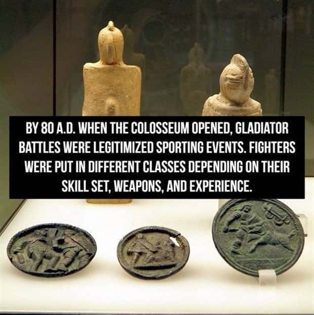 Cool Roman Gladiator Facts Worth Knowing (18 photos)