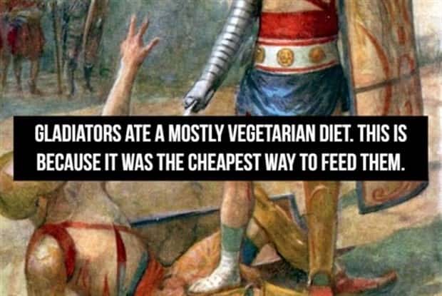 Cool Roman Gladiator Facts Worth Knowing (18 photos)