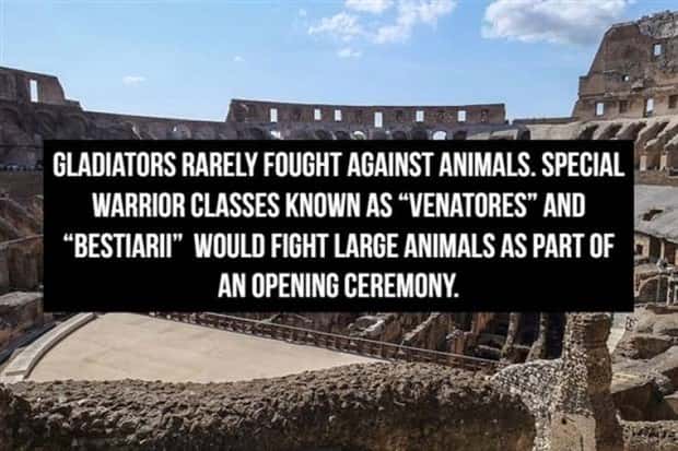 Cool Roman Gladiator Facts Worth Knowing (18 photos)