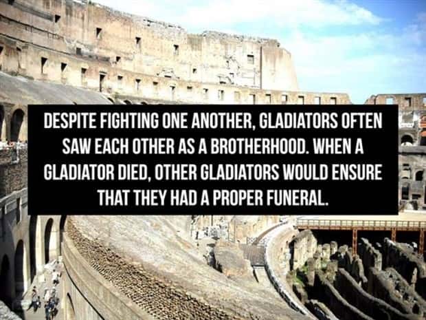 Cool Roman Gladiator Facts Worth Knowing (18 photos)