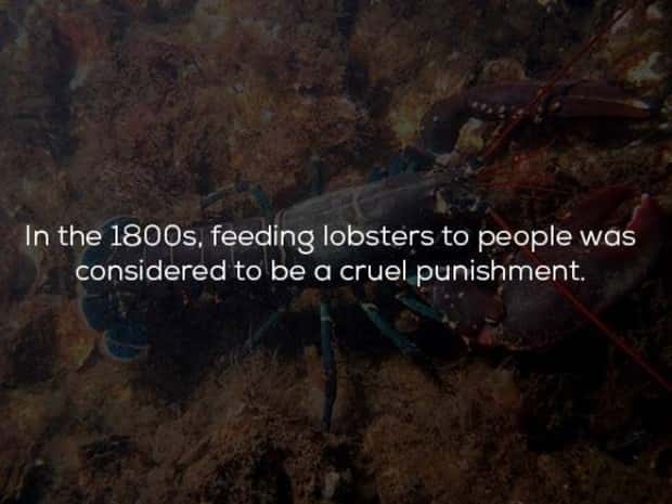 historical facts 1 23 Random Historical Facts You Never Knew (23 photos)