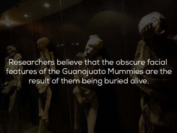 historical facts 10 23 Random Historical Facts You Never Knew (23 photos)