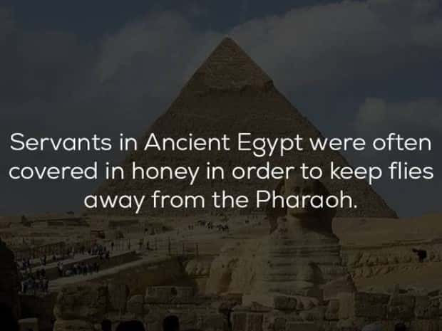 historical facts 17 23 Random Historical Facts You Never Knew (23 photos)