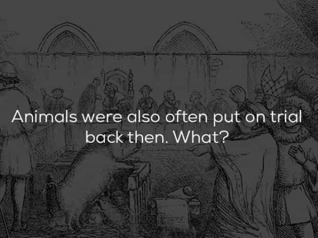 historical facts 19 23 Random Historical Facts You Never Knew (23 photos)