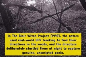 The Most Twisted Horror Movie Facts (17 photos)