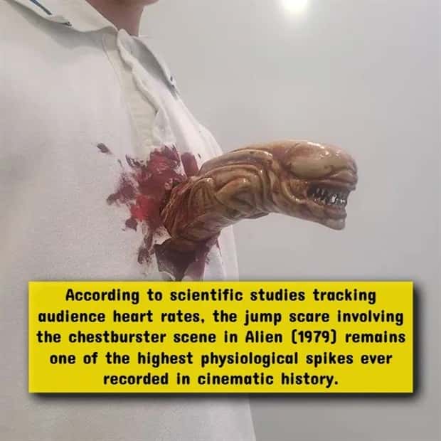 The Most Twisted Horror Movie Facts (17 photos)